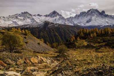 Loriaz in vallorcine in haute savoie in france