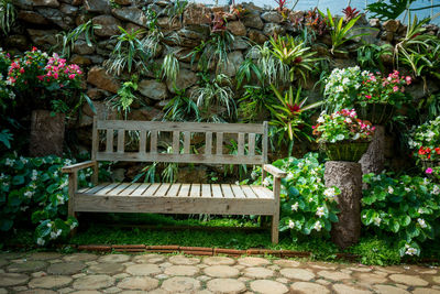 Flower plants growing outdoors