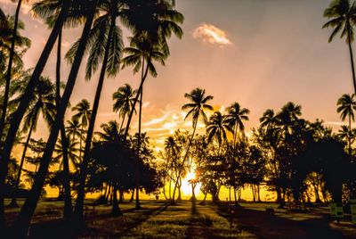 Silhouette palm trees against sky during sunset