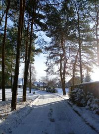 Road amidst trees against sky during winter