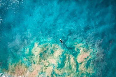 Top down view of surfer in stormy water