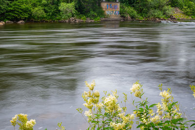 Scenic view of lake