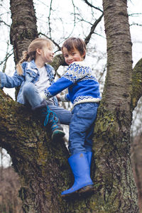 Low angle portrait of boy with sister on tree