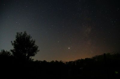 Low angle view of silhouette trees against sky at night