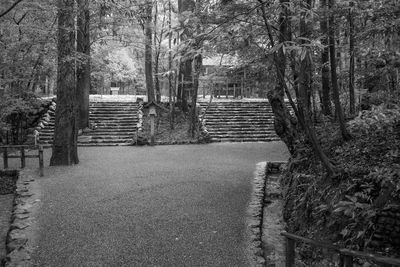 Empty footpath amidst trees in forest