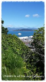 Scenic view of calm sea against blue sky