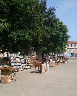 Chairs and trees in row against sky