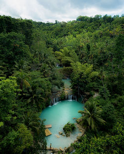 Scenic view of river in forest against sky