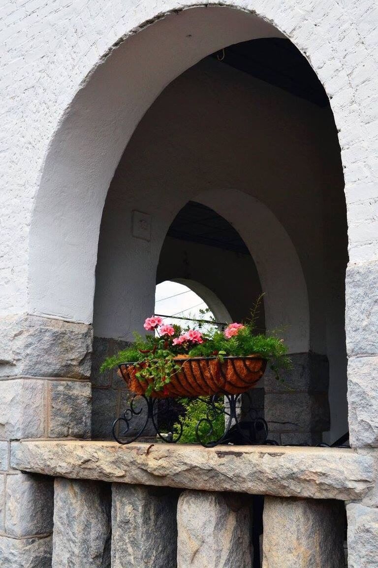 POTTED PLANT ON WALL OF BUILDING