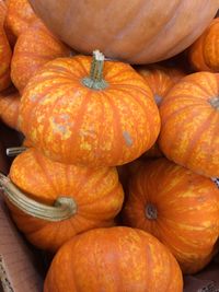 High angle view of pumpkins for sale at market stall