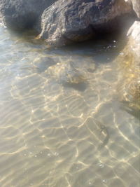 High angle view of rocks in sea