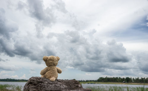 Stuffed toy by lake against cloudy sky