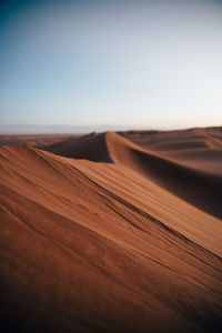 Scenic view of desert