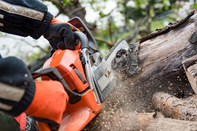 Cropped hands of person cutting wood with chainsaw