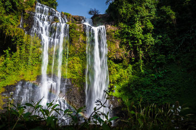 Scenic view of waterfall in forest