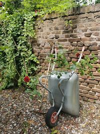 Garbage can against wall in yard