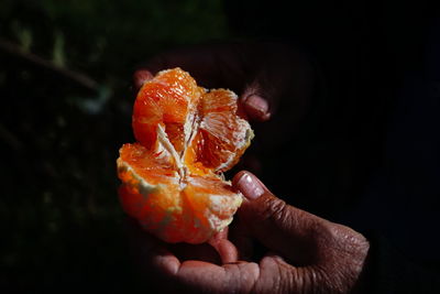 Close-up of hand holding orange