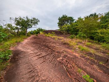 Dirt road amidst trees on field against sky