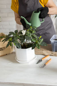 Midsection of woman holding potted plant on table