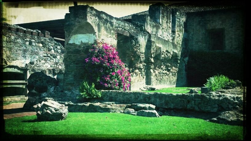 architecture, built structure, building exterior, stone wall, flower, transfer print, house, plant, wall - building feature, auto post production filter, stone material, grass, history, old, day, old ruin, wall, steps, rock - object, outdoors