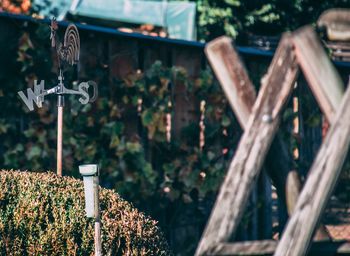 Close-up of cross on wood against trees