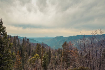 Scenic view of cloudy sky