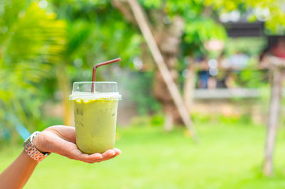 Cropped image of hand holding drink