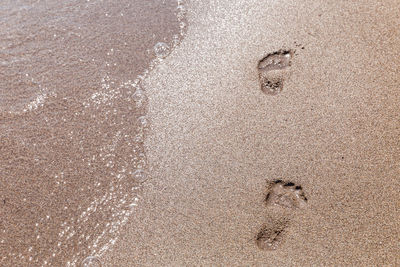 High angle view of footprints on wet sand