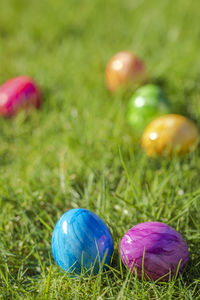 Close-up of easter eggs on field