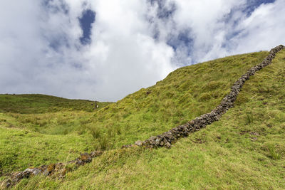 Scenic view of grassy field against sky