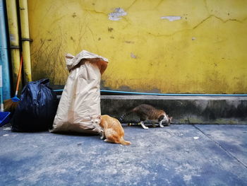 Men sitting on floor against wall