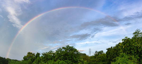 Low angle view of rainbow over trees against sky