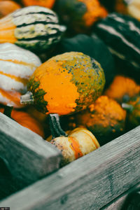 High angle view of orange fruit on wood