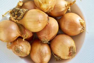 Directly above shot of shallots in bowl