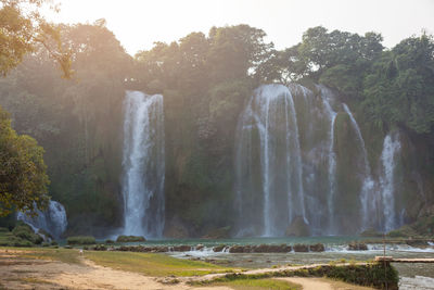 Scenic view of waterfall in forest