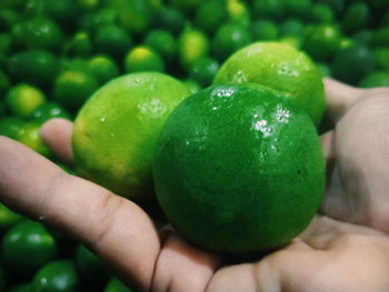 Close-up of hand holding fruit