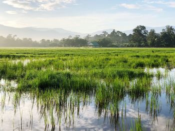 Scenic view of lake against sky