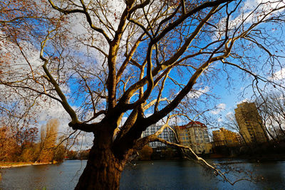 Arch bridge over river against sky