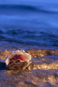 Man lying down on beach