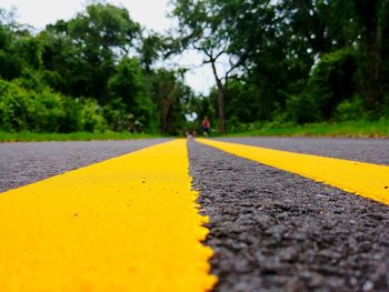 Surface level of yellow marking on road amidst trees