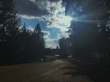 Trees on landscape against sky