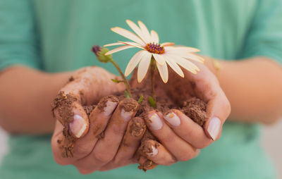 Close-up of hand holding flowers