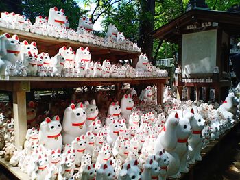 Gotokuji temple tokyo's maneki neko the lucky cat temple 