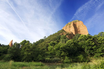 Trees on landscape against sky