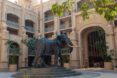 View of elephant outside building