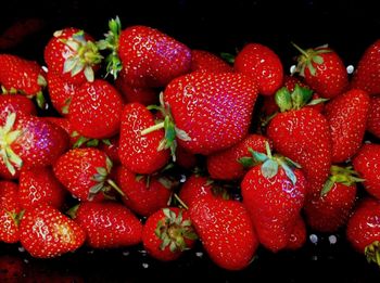 Red strawberries on white background