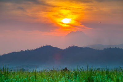 Scenic view of field against sky during sunset