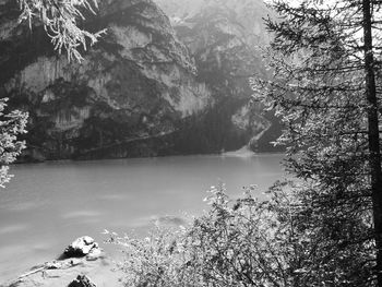 Scenic view of lake in forest