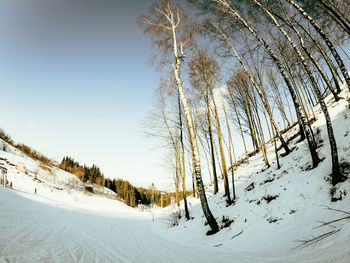 Scenic view of snow covered field against sky