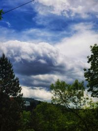 Low angle view of trees against sky